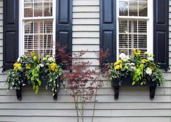 Blinds & Shutters